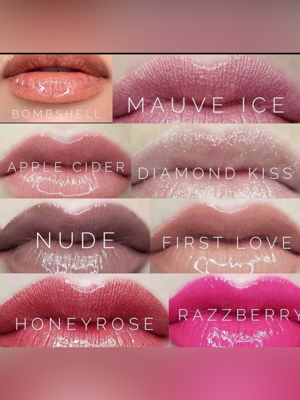 LOT/7 SeneGence Lipsense Lip Color Gloss Lipstick Assorted Shades Full Sz Sealed